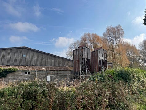 A brown-grey low building with two short towers against hedges and a blue sky; a sign in yellow and red reading 'you are being watched; a red lawn mower surrounded by branches and hedge with blue sky behind'