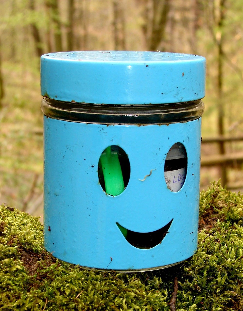 a blue round container with a smily face. Sitting on moss.