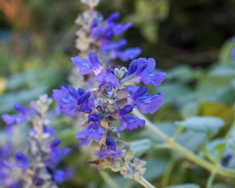 20251006-mby-6-Edit.jpg