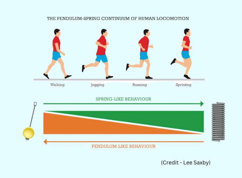 WALKING & RUNNING; PENDULUMS & SPRINGS. WALKING & RUNNING; PENDULUMS & SPRINGS.