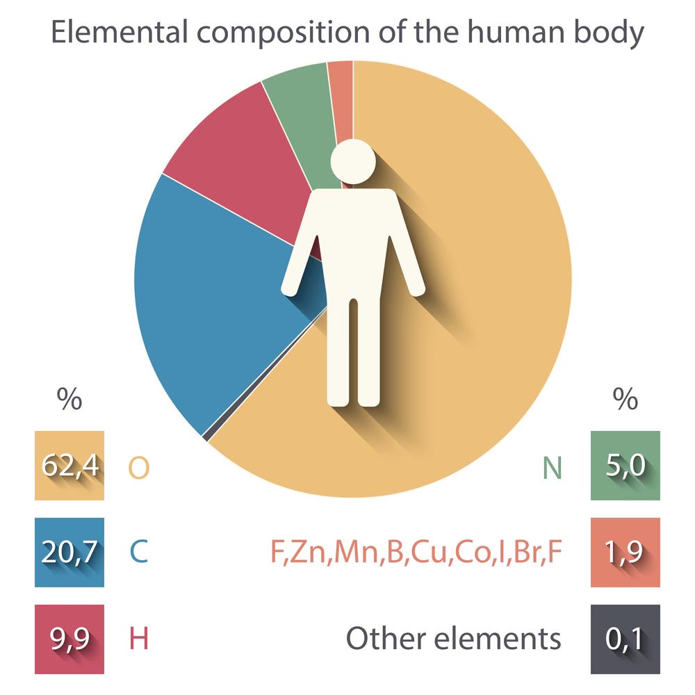 pie Chart of the major elements that make up the human body pie Chart of the major elements that make up the human body