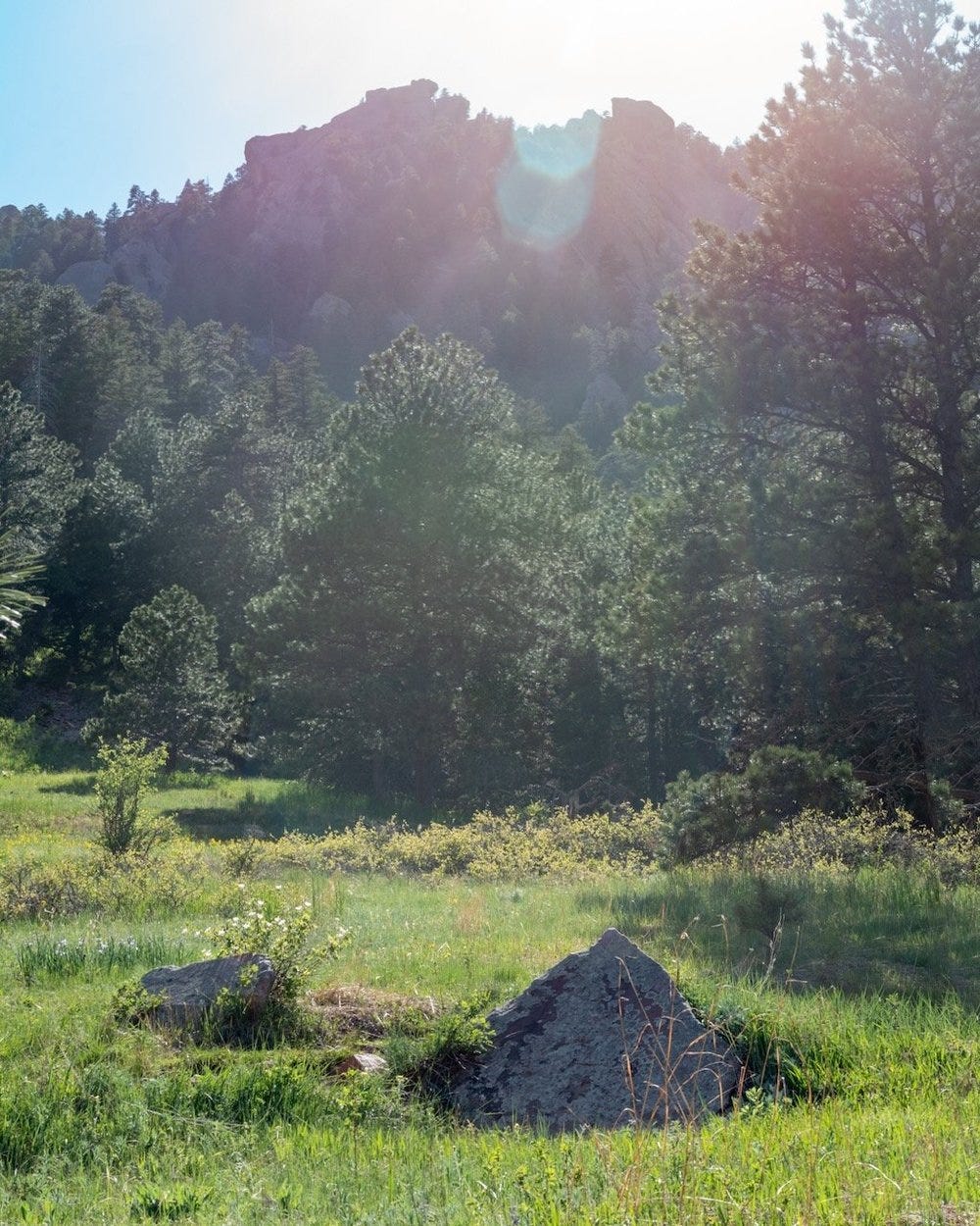 DSC_0005-Pano.jpeg DSC_0005-Pano.jpeg