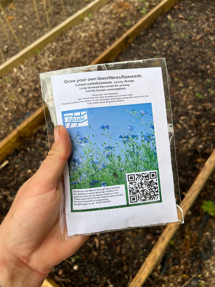 Sowing flax - linum usitatissimum - seeds into a small urban garden bed of soil.