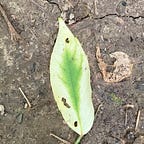 Climate Hope Together