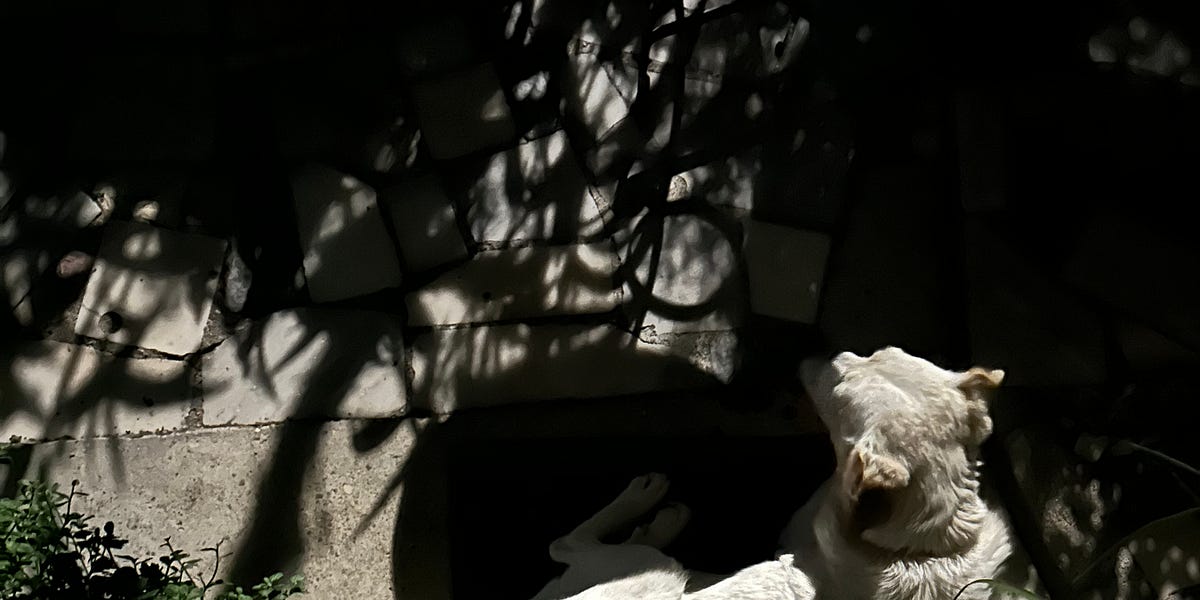 Espresso shot podcast: Δεν θέλω να το καταλάβω όταν τελειώσει