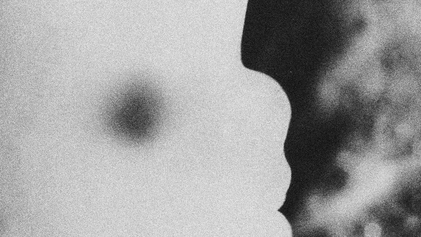 Image: Lennart Nilsson's A Child is Born