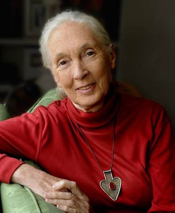Dr. Jane Goodall | Bloomberg Philanthropies