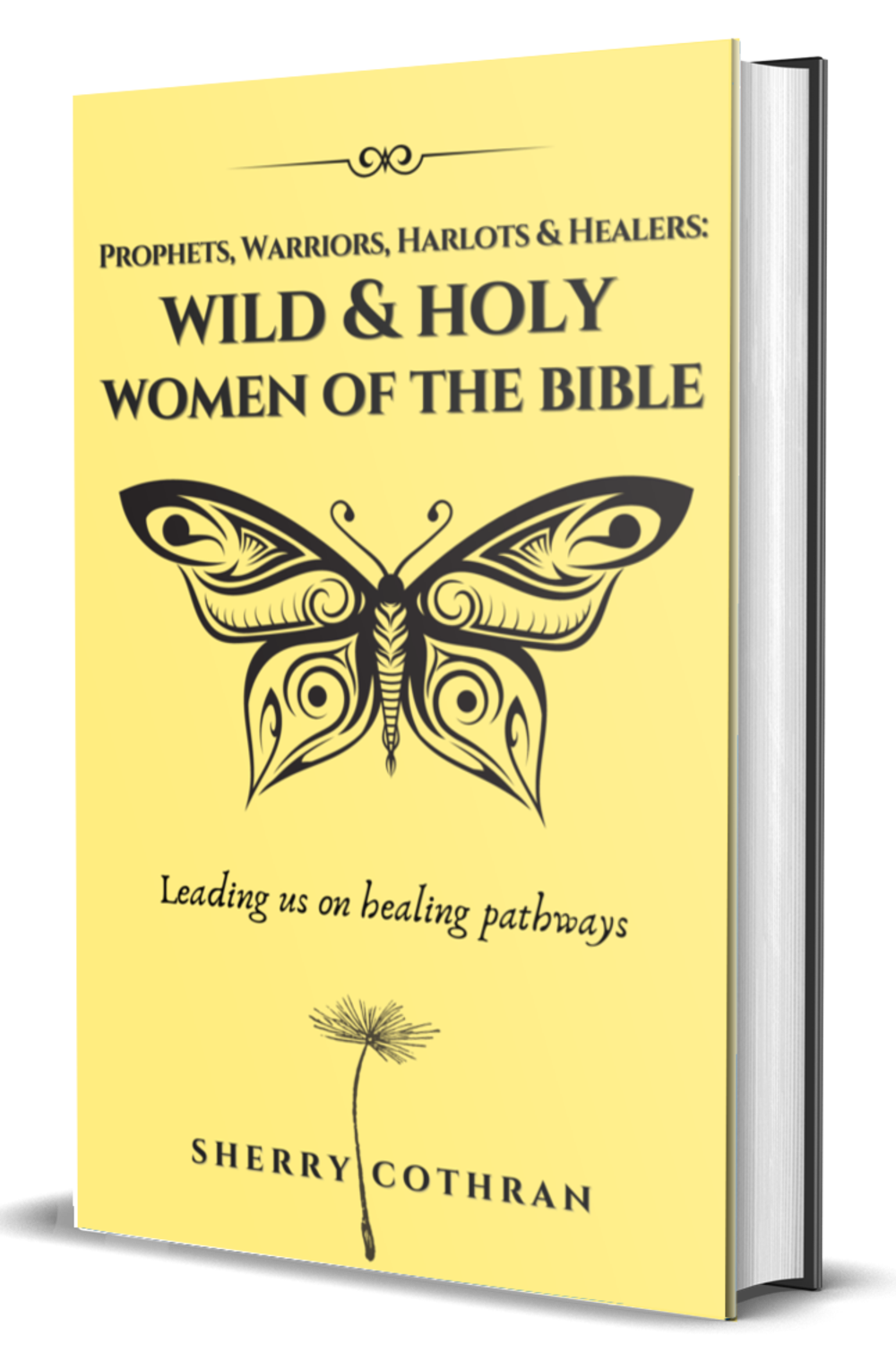 Book_Coverap27s.png