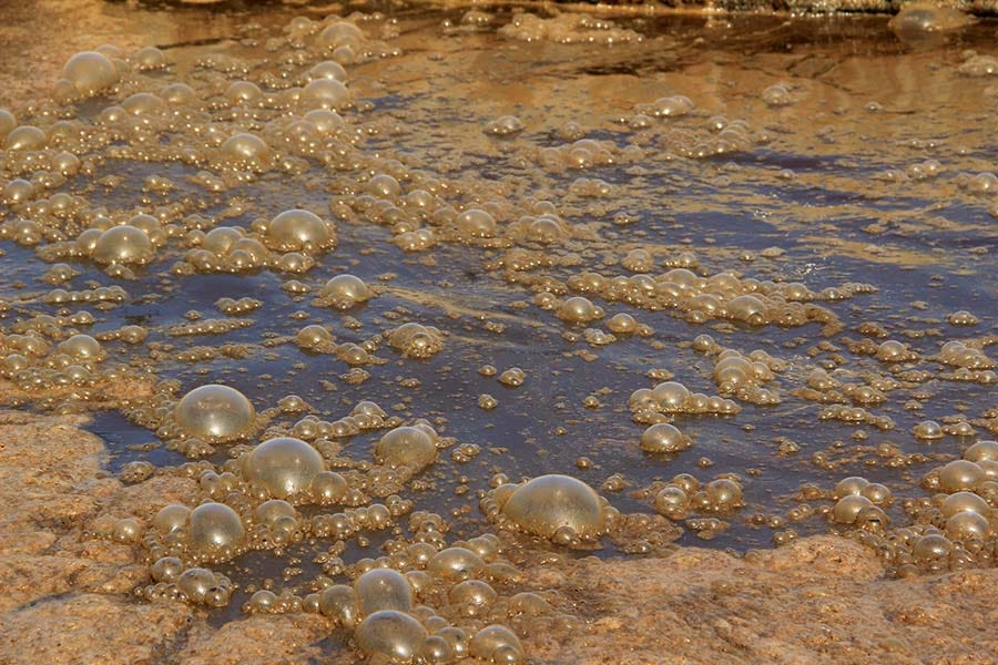 What is Sludge Management?