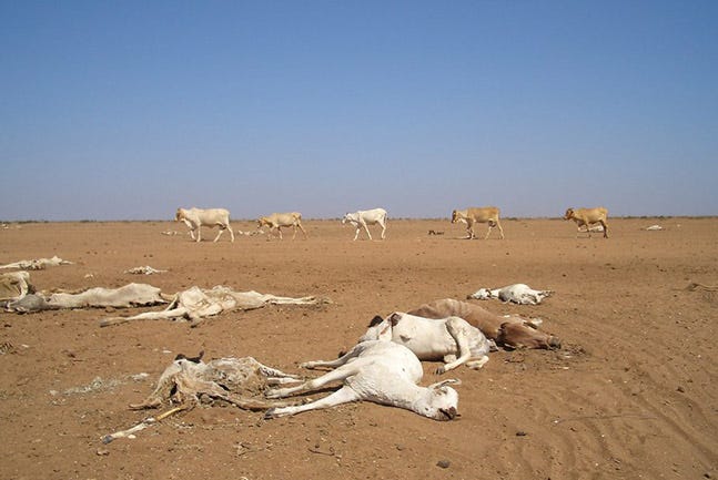 Governing Climate Change in Africa | Africa Up Close