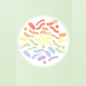 Drugs, Dysbiosis and The Bowel Nosodes