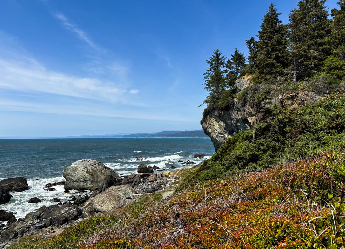 steep rocky hill covered in green foliage, wildflowers and pine trees sloping down to rocky ocean shoreline