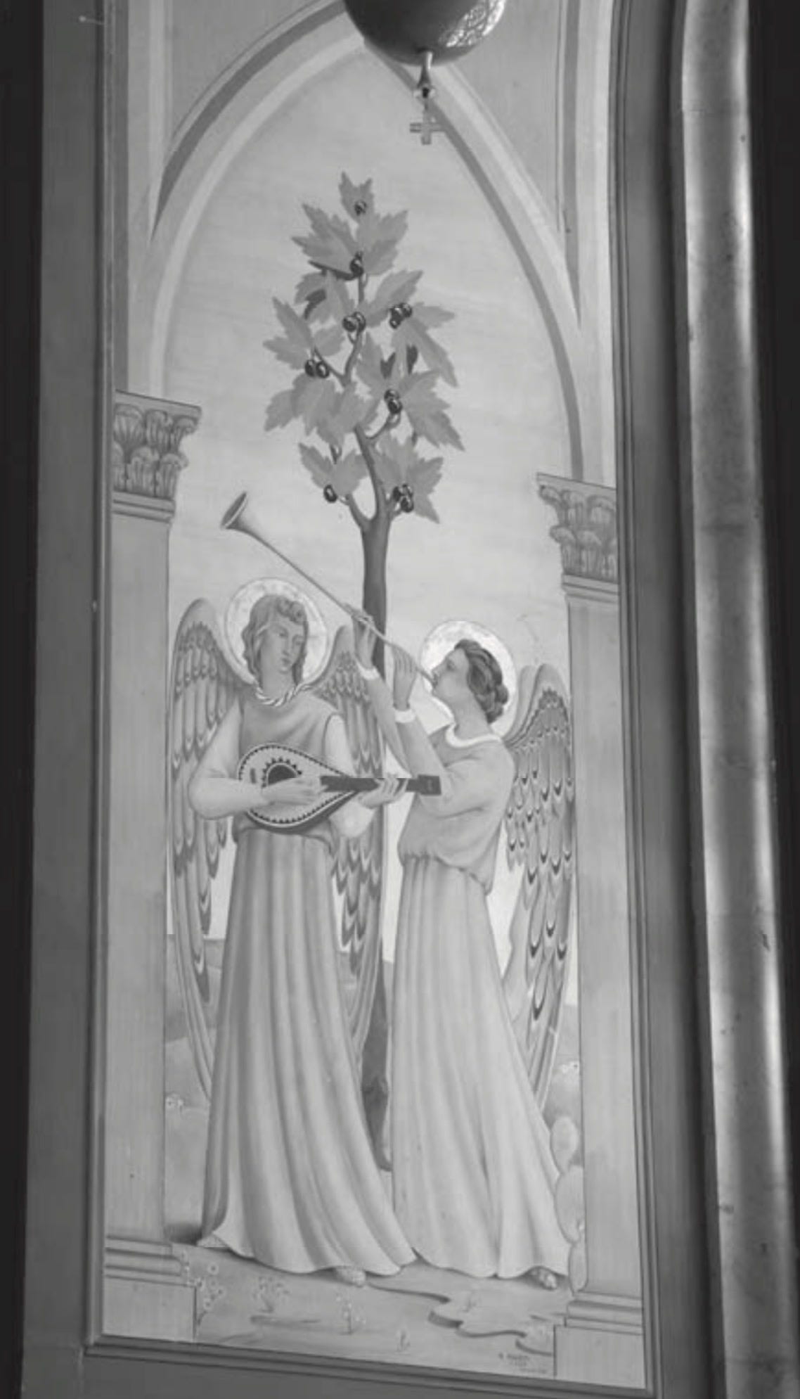 1DA4976B-C12D-439F-9017-7EC182B2D69E.jpg 1DA4976B-C12D-439F-9017-7EC182B2D69E.jpg