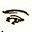 scared gonzo's avatar