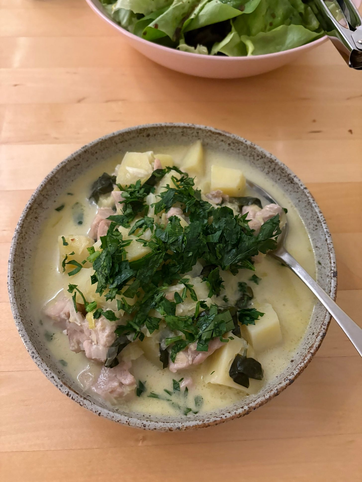 A bowl of creamy chicken stew in a bowl topped with parmesan. A green salad in the background