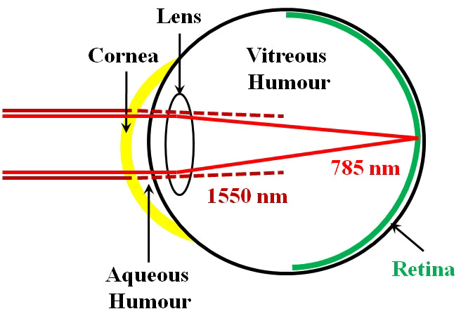 Illustration of the human eye showing the focus of visible radiation on the retina and absorption of 1,550 nm radiation by the cornea, aqueous and vitreous humor. Damage to the retina is permanent, while damage to the cornea is temporary, but should still be avoided.