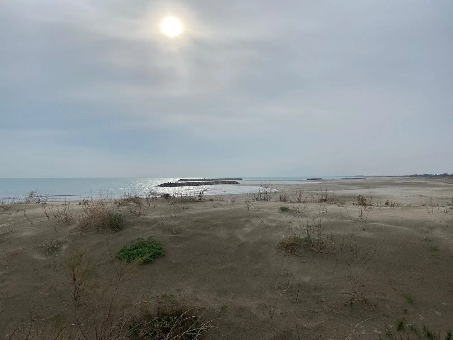 La plage La plage