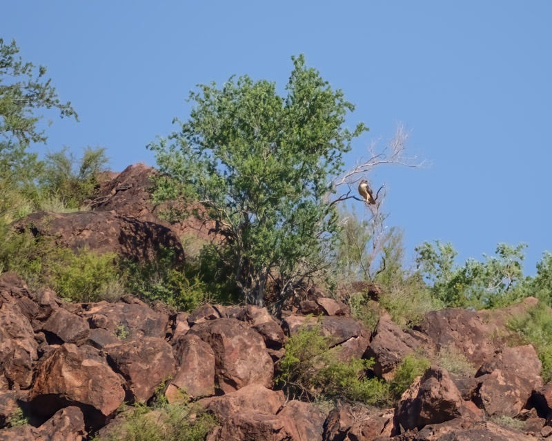 20260902-Sweetwater-170-Edit.jpg 20260902-Sweetwater-170-Edit.jpg