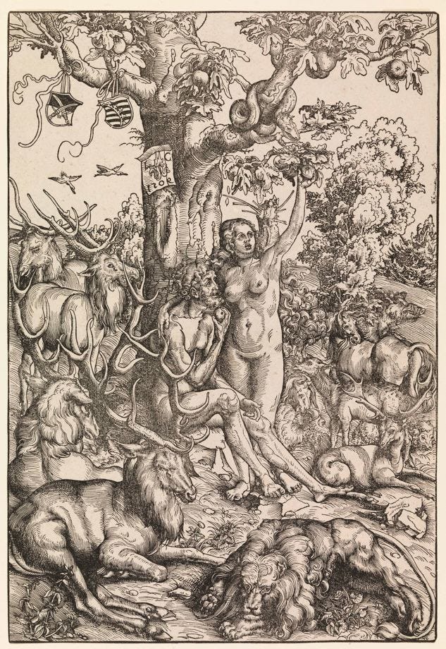 Adam and Eve by Cranach Adam and Eve by Cranach