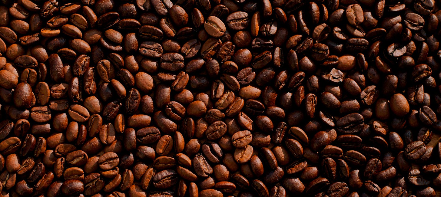 coffee bean lot coffee bean lot