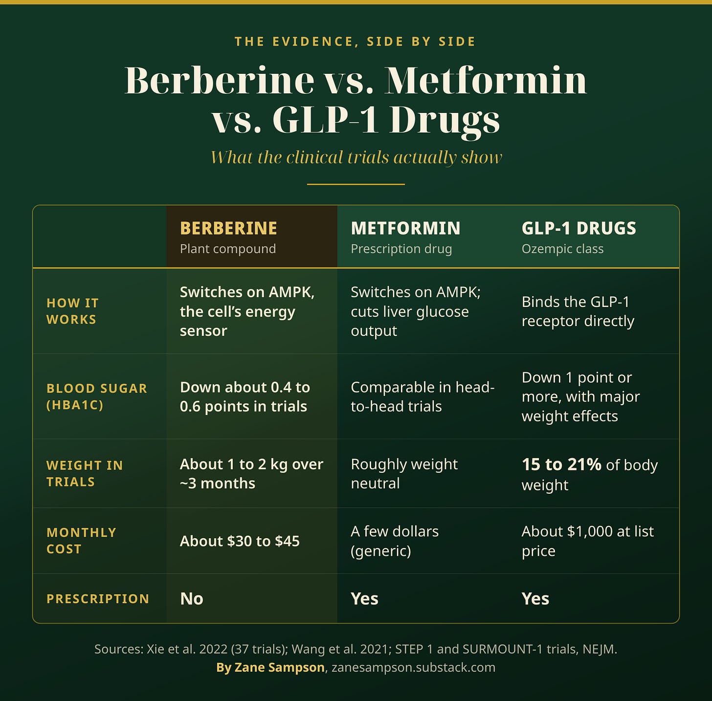 berberine-vs-metformin-ozempic-comparison.png (1600×1576)