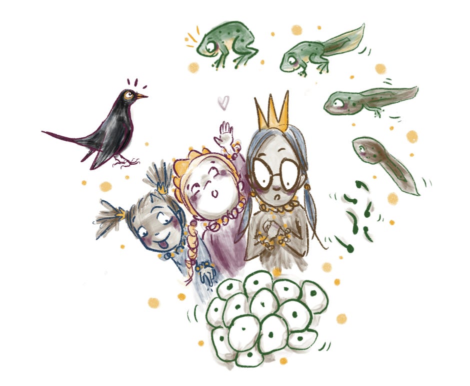 illustration , 3 princesses , frogs spawn, tadpoles, frogs