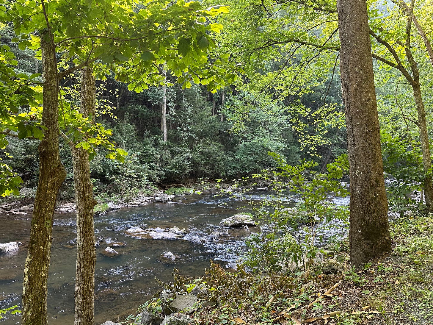 An image of a river with rocks in it, and bright green trees and cliffside rocks around it. 