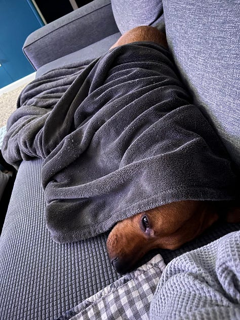 Photos depicting winter skies, snowfall and pets surviving the cold weather.