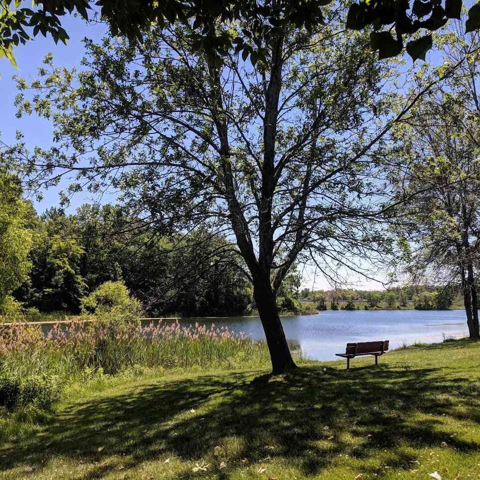 Brighton Town Park summer bench Brighton Town Park summer bench