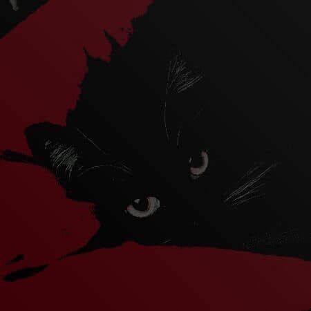 ✿ Crimson & Ink ✿