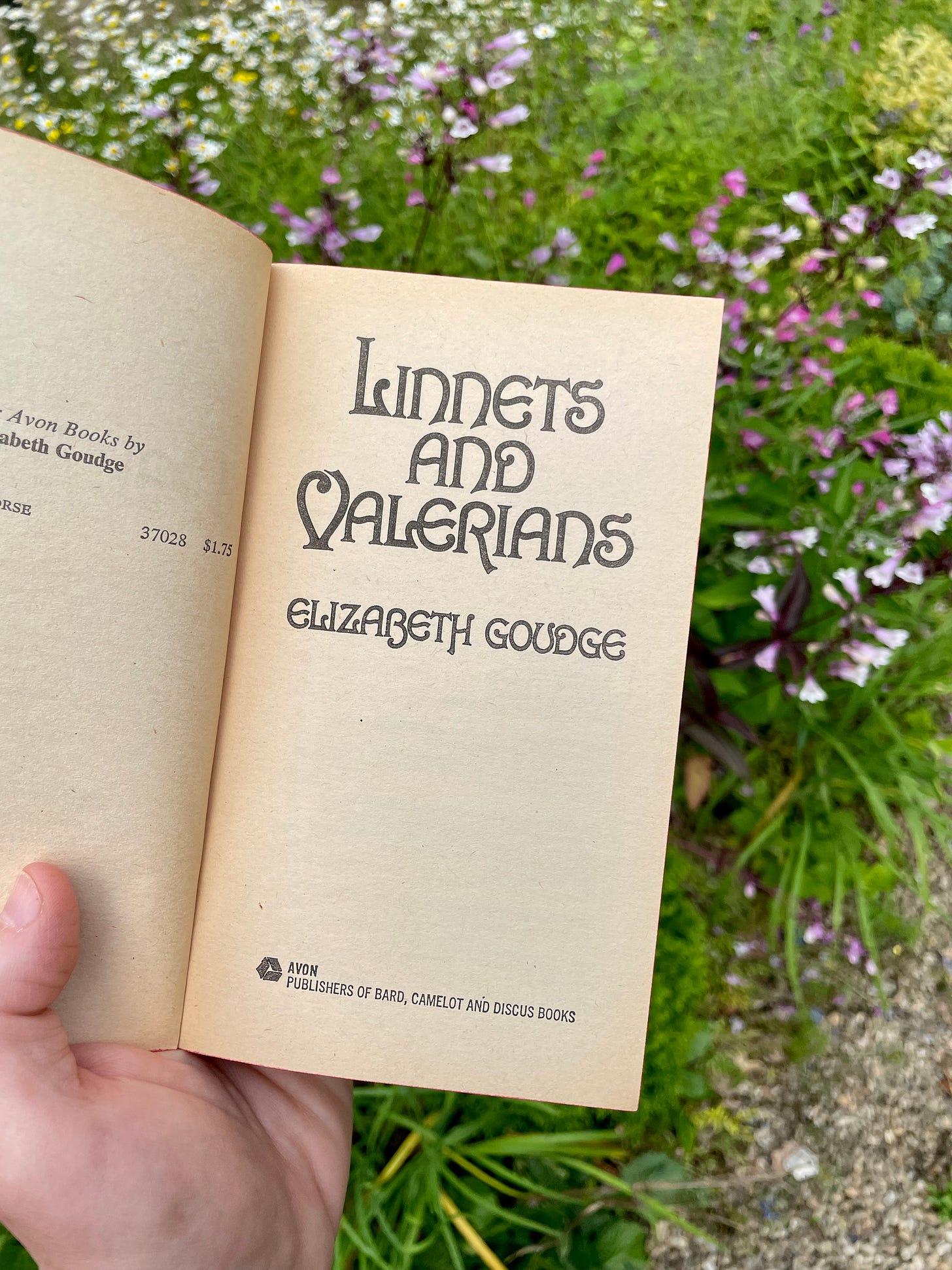 Goudge’s children’s book Linnets & Valerians in my Cottage Garden at Havenwood. Goudge’s children’s book Linnets & Valerians in my Cottage Garden at Havenwood.