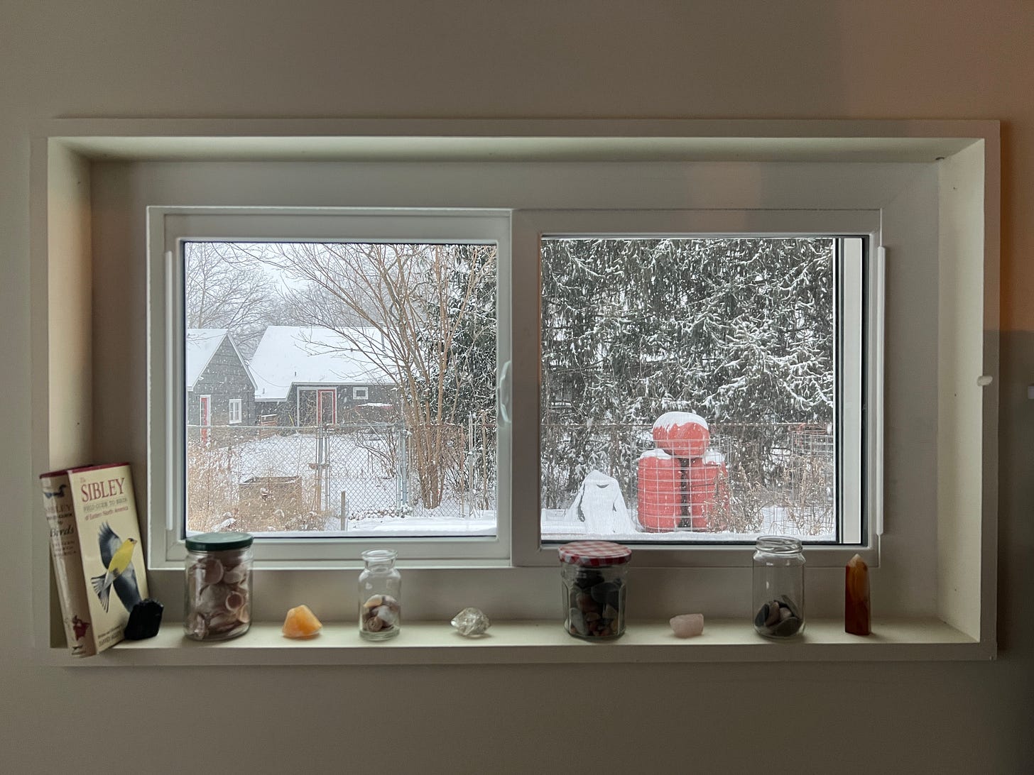 A small horizontal window with a bird field guide, some crystals, and jars of shells on the sill. It looks out onto a backyard fence and some snow-covered orange rain barrels.