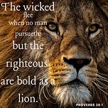 Maximilian's Letters