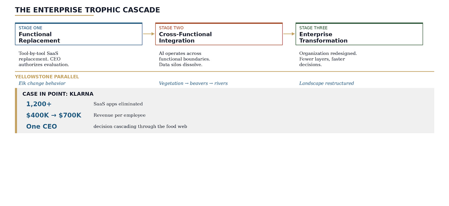 Cascade Diagram