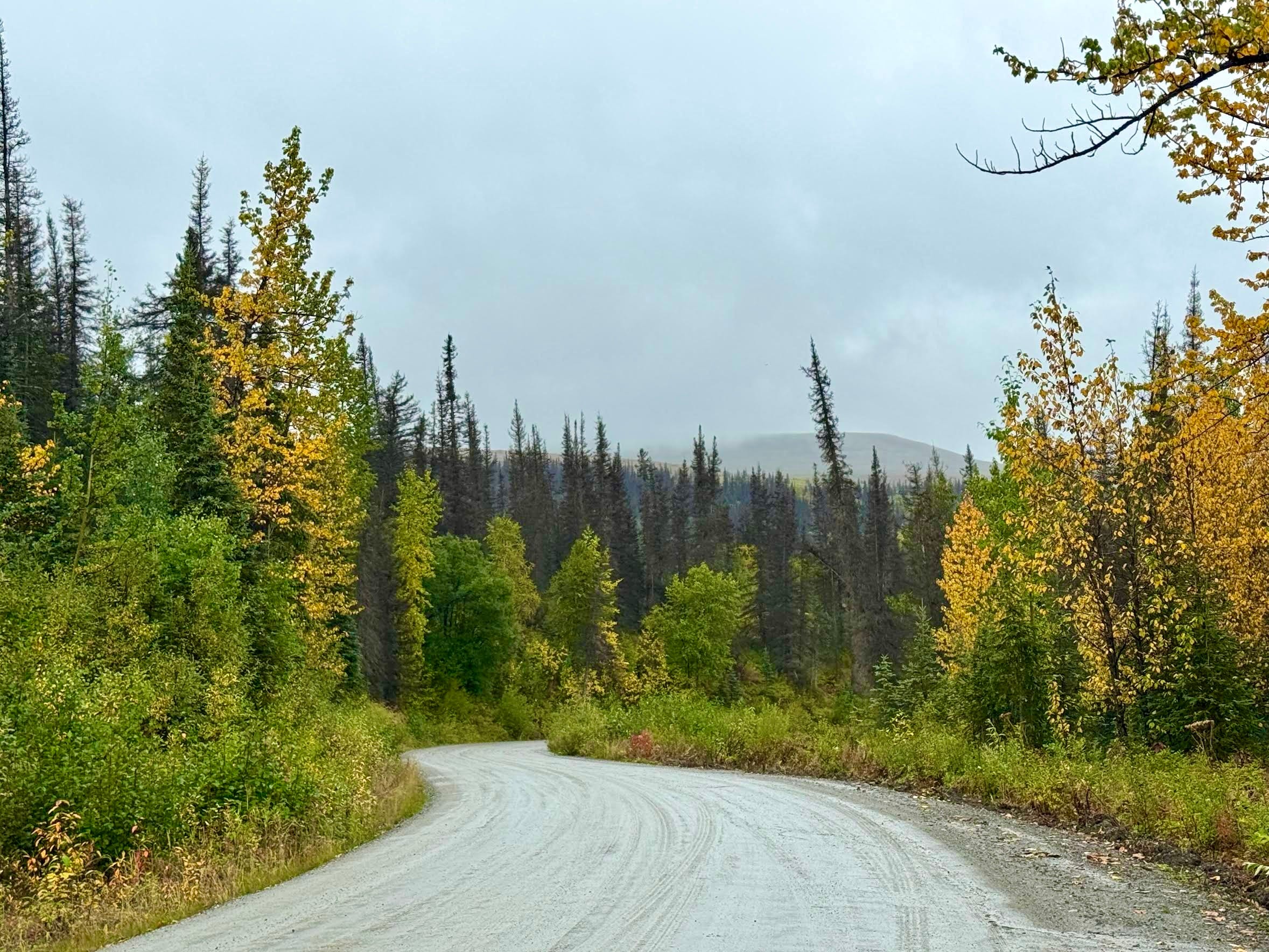 Should I Go Down This Road? by Jenny