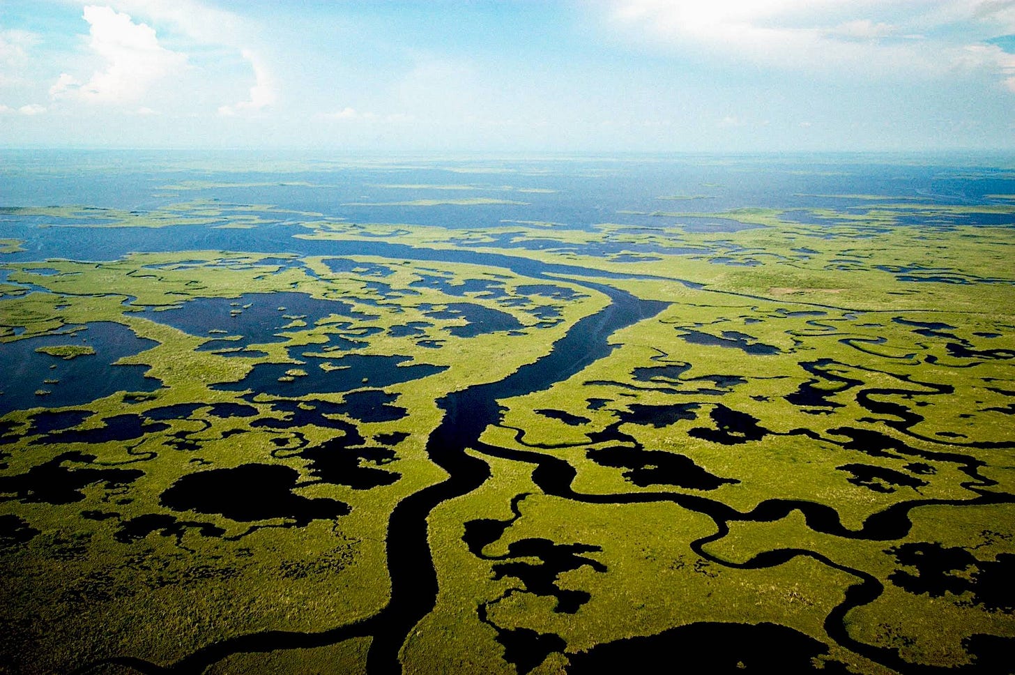 55 Reasons Why the Florida Everglades are Special — Destination: Wildlife™ 55 Reasons Why the Florida Everglades are Special — Destination: Wildlife™