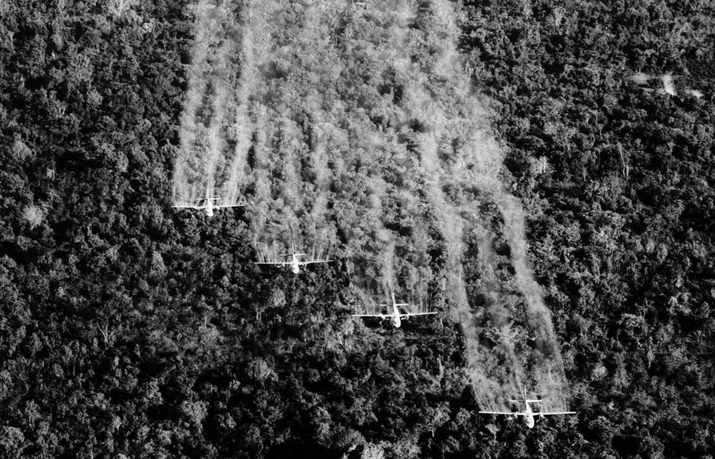 Four 'Ranch Hand' C-123 aircraft deploy liquid defoliant over a suspected Viet Cong position in South Vietnam, September 1965, part of controversial operations to clear dense jungle cover. Four 'Ranch Hand' C-123 aircraft deploy liquid defoliant over a suspected Viet Cong position in South Vietnam, September 1965, part of controversial operations to clear dense jungle cover.