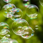 The anorexic bubble