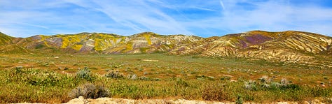 Fields and hills covered in grass and many colors of wildflowers, patched together under semi-clear skies