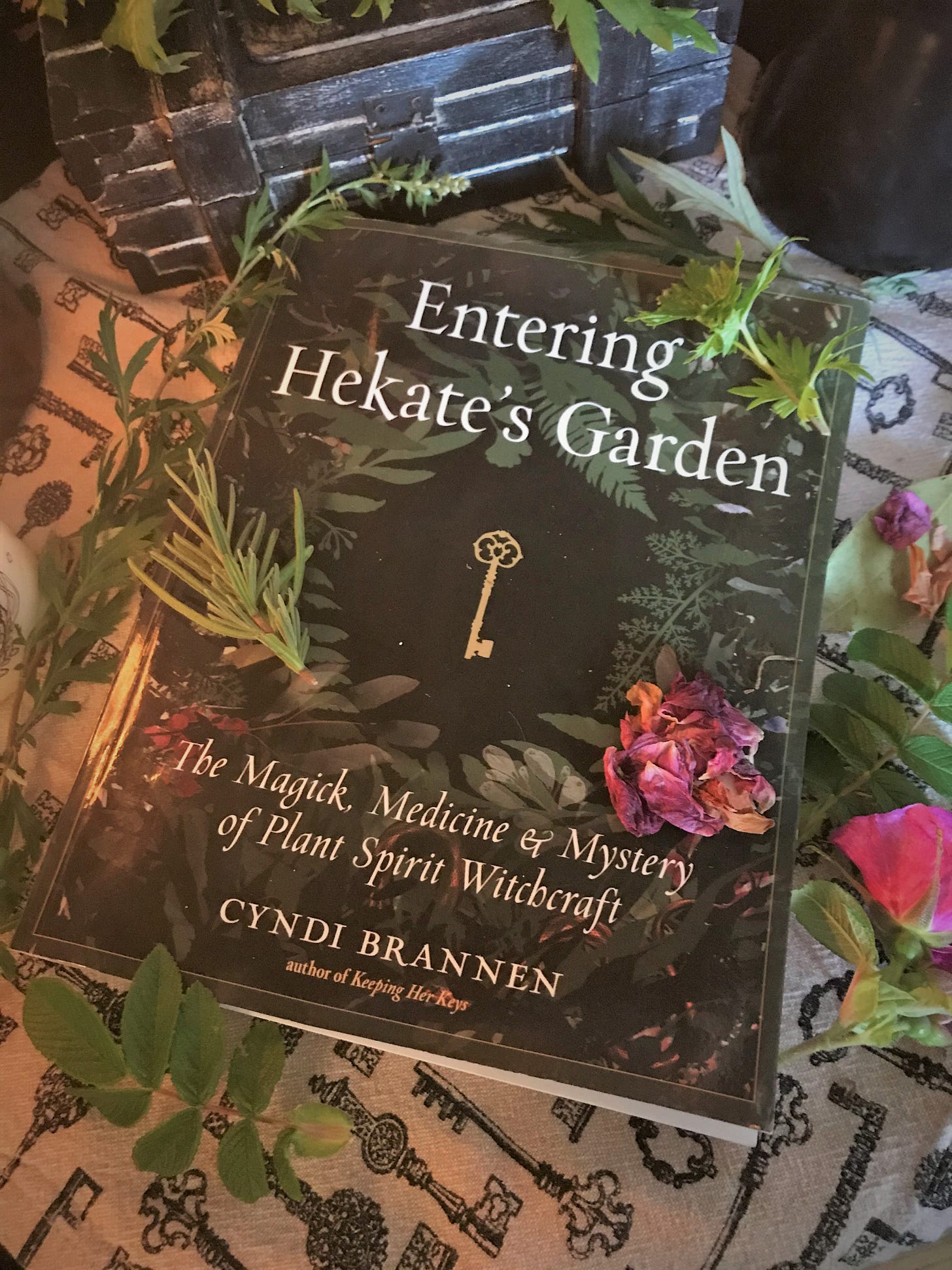 Entering Hekate's Garden by Cyndi Brannen explores the magick, medicine and mystery of green witchcraft. Entering Hekate's Garden by Cyndi Brannen explores the magick, medicine and mystery of green witchcraft.