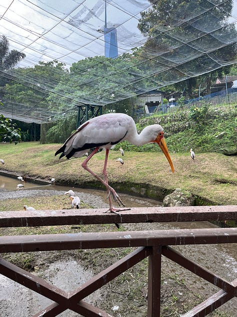 KL Bird Park