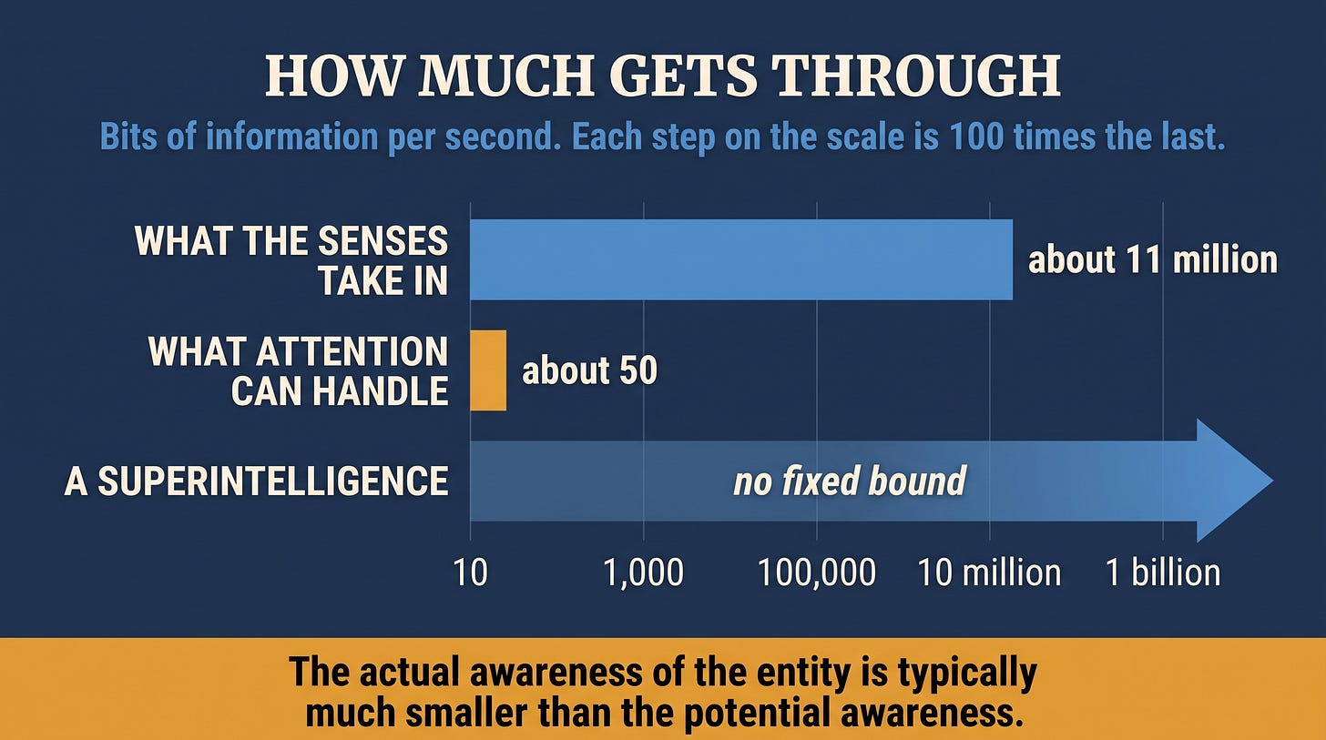 A bar chart in bits of information per second, on a scale where each step is 100 times the last. What the senses take in: about 11 million. What attention can handle: about 50. A SuperIntelligence: a bar running off the chart, labeled no fixed bound. Caption: The actual awareness of the entity is typically much smaller than the potential awareness. A bar chart in bits of information per second, on a scale where each step is 100 times the last. What the senses take in: about 11 million. What attention can handle: about 50. A SuperIntelligence: a bar running off the chart, labeled no fixed bound. Caption: The actual awareness of the entity is typically much smaller than the potential awareness.