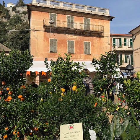 Pictures of cheese, lemons, Buddha's Hand citrus, bottles of chinotto and views of the town.