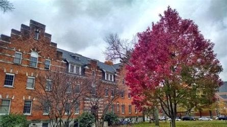 Hope College in Fall Hope College in Fall