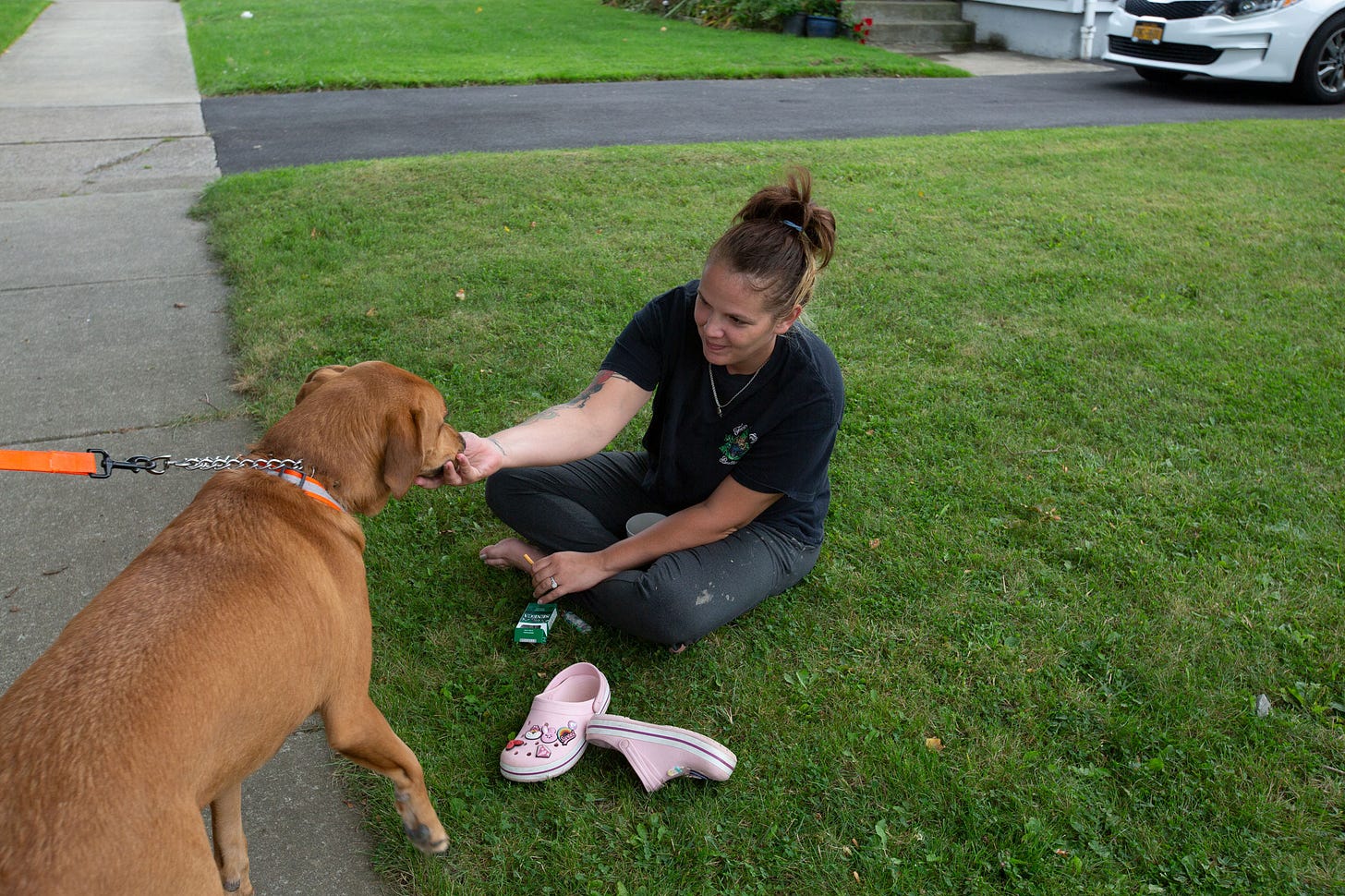 The Love Canal neighborhood as it looked in September 2023. Photo by Eric F. Coppolino / Chiron Return