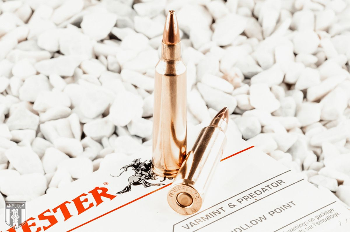 22-250 ammo for sale