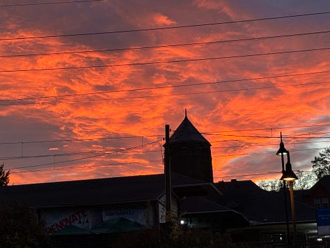 sunlight through trees, a picture of Gabrielle, a tall tree, a tree with yellow leaves and two sunsets