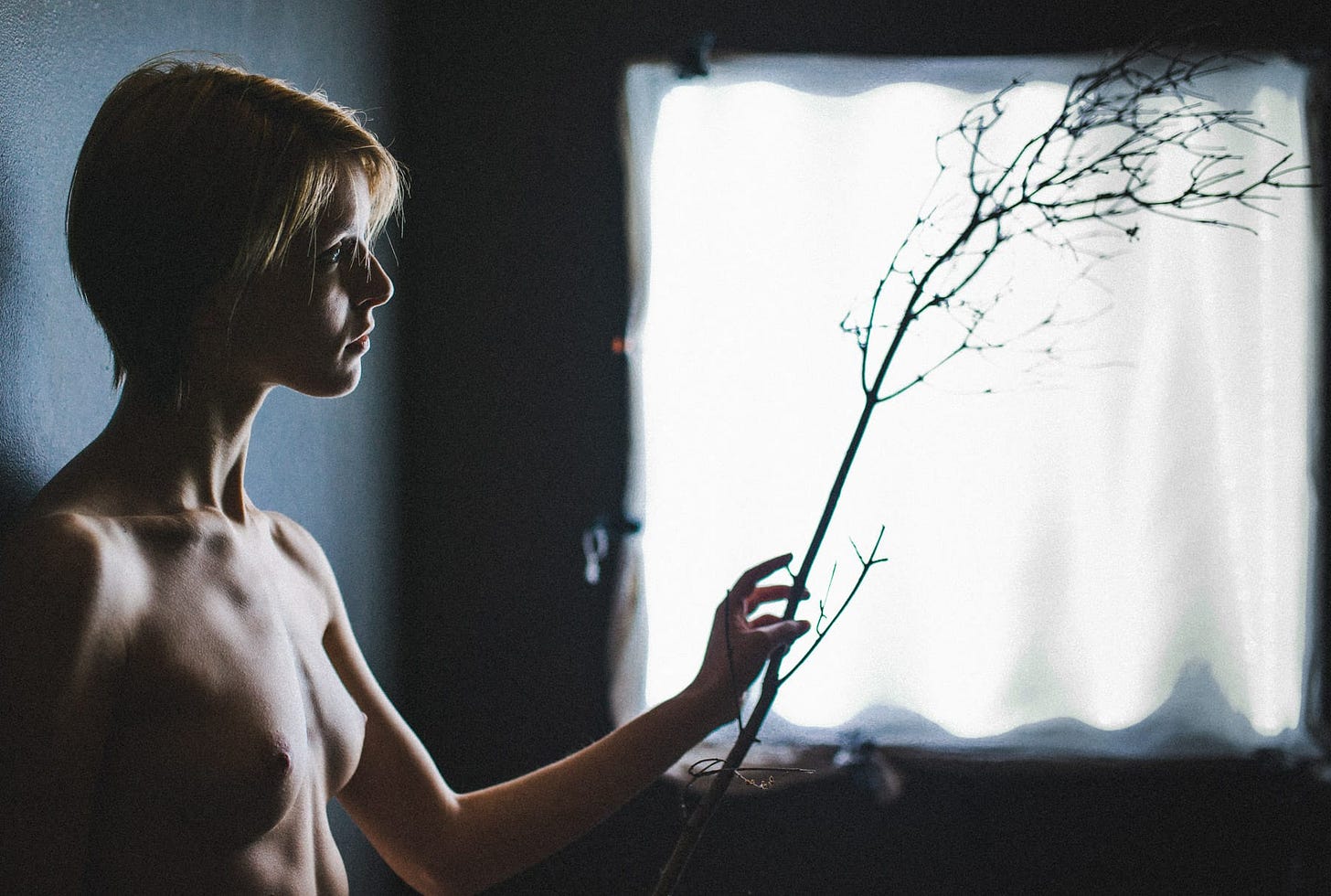 Alexia Day - Shibui Alexia Day - Shibui