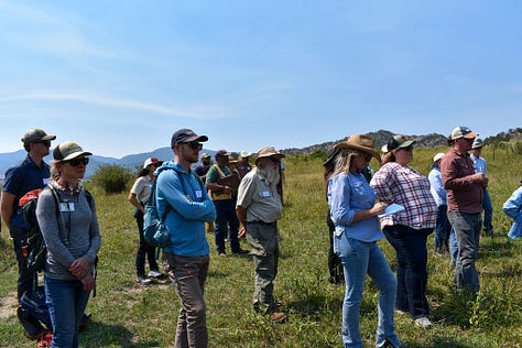 "A gallery from the Western Landowners Alliance field day at Redwing Ranch: attendees in sun hats gathered on the grassland listening to a presentation, with rugged foothills in the background, and two women in conversation, one gesturing out toward the land.