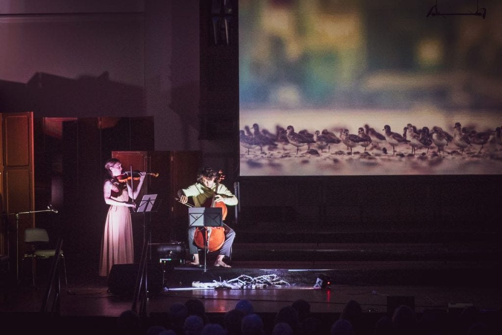 Life on Land's Edge performance at the Lyrebird Festival